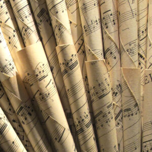 DETAILS MUSIQUE SC 14