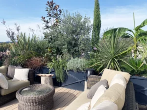 Architecte de Terrasse