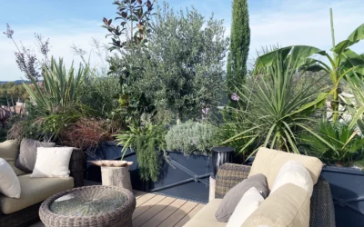 Comment un Architecte de Terrasse a Paris optimise-t-il les volumes en milieu urbain dense ?