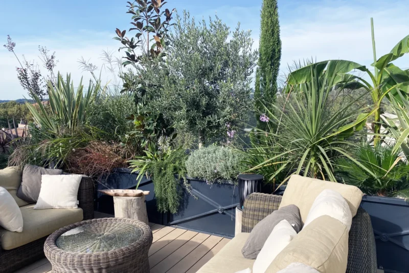 Architecte Terrasse Paris