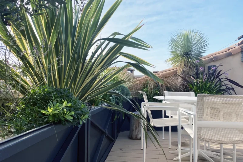 Architecte Terrasse Paris